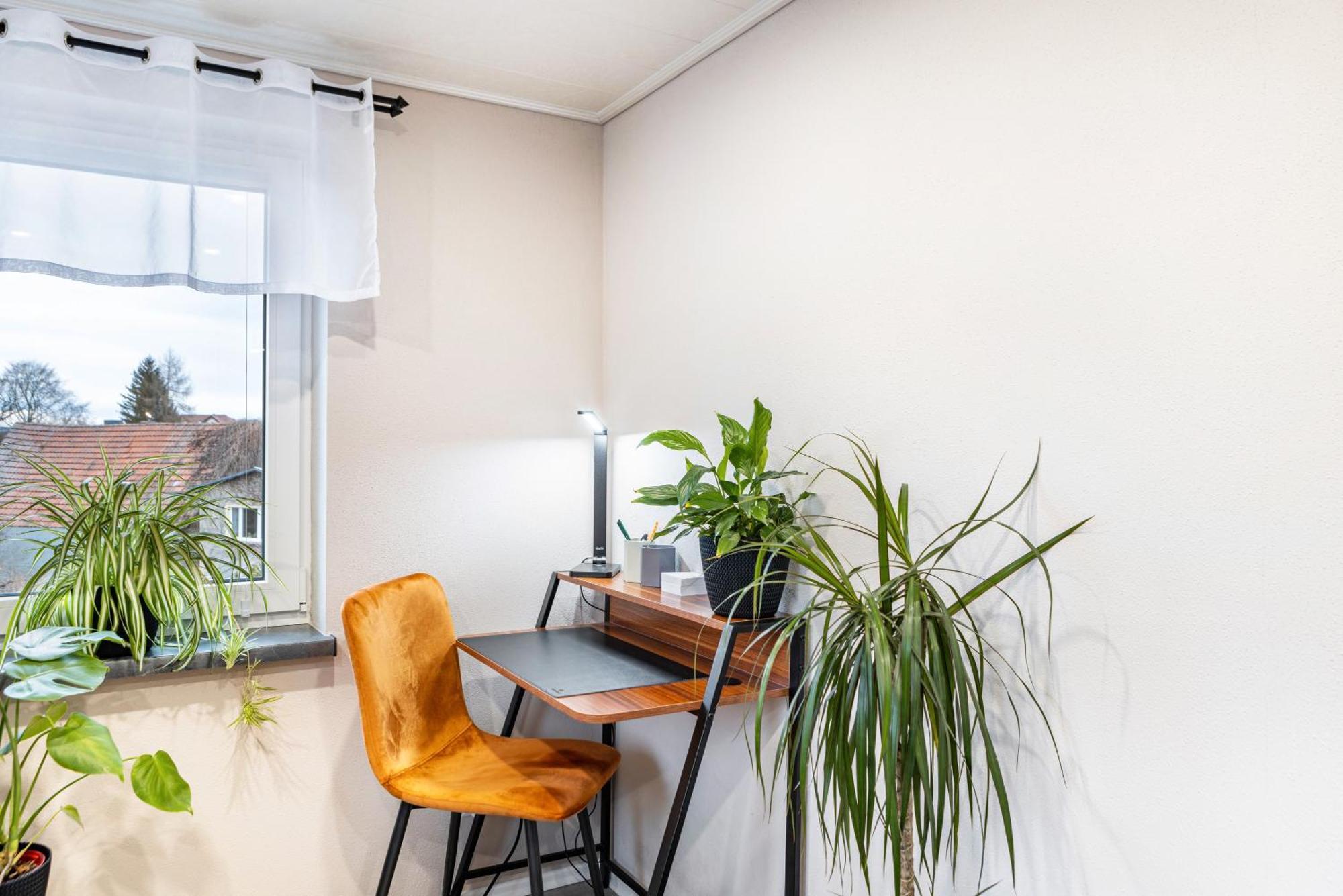 Ferienhaus Kirsch 布兰肯海恩 外观 照片
